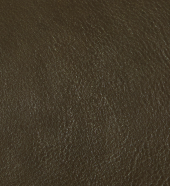 Dark Olive 
