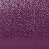 Aubergine