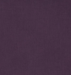 Aubergine